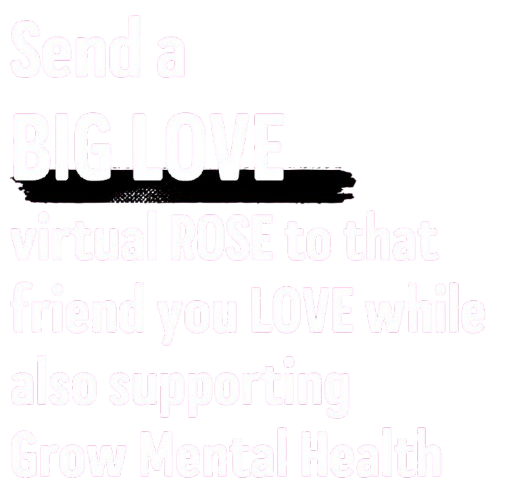 Send a Big Love virtual ROSE